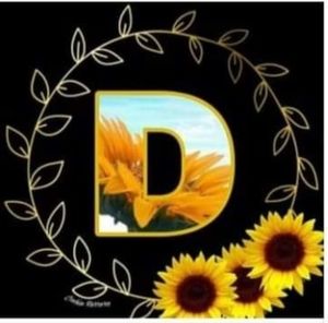 Meet your Posher, Ivette